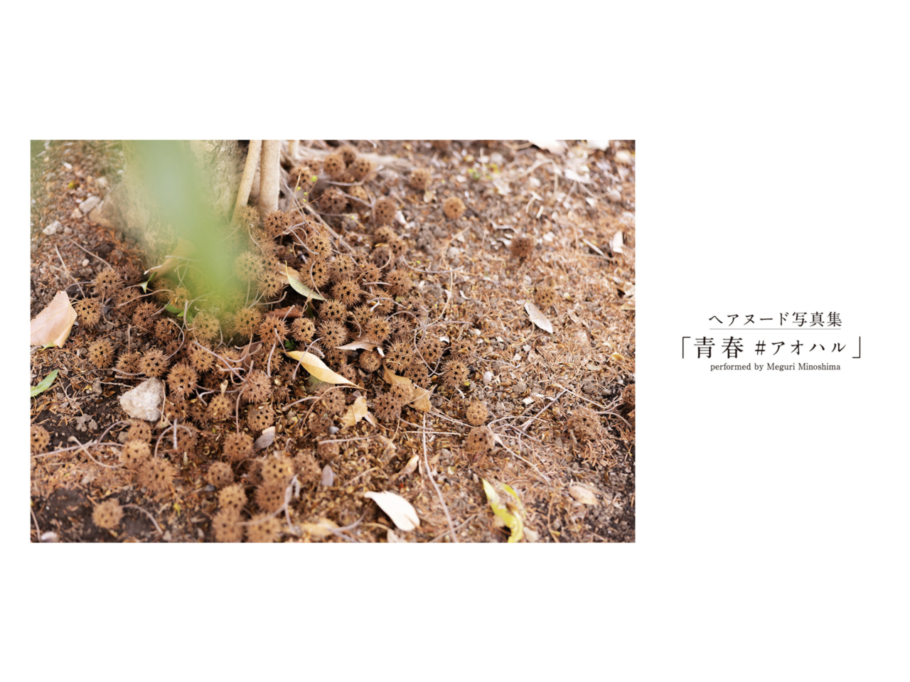 [JP] Meguri Minoshima (美ノ嶋めぐり) – 青春＃アオハル