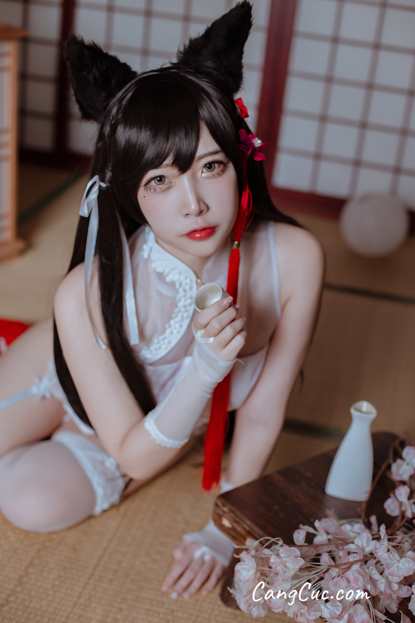 Coser@二佐Nisa – 犬之眷 碧蓝航线 爱宕 旗袍