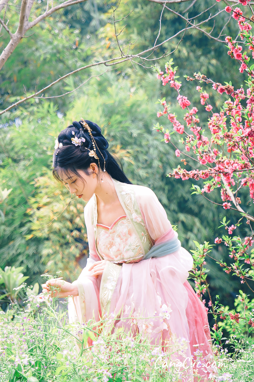 Coser@年年Nnian – 海棠仙