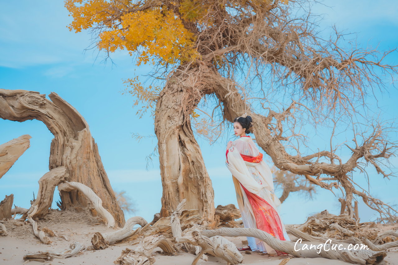 Coser@桜桃喵 – 惊鸿
