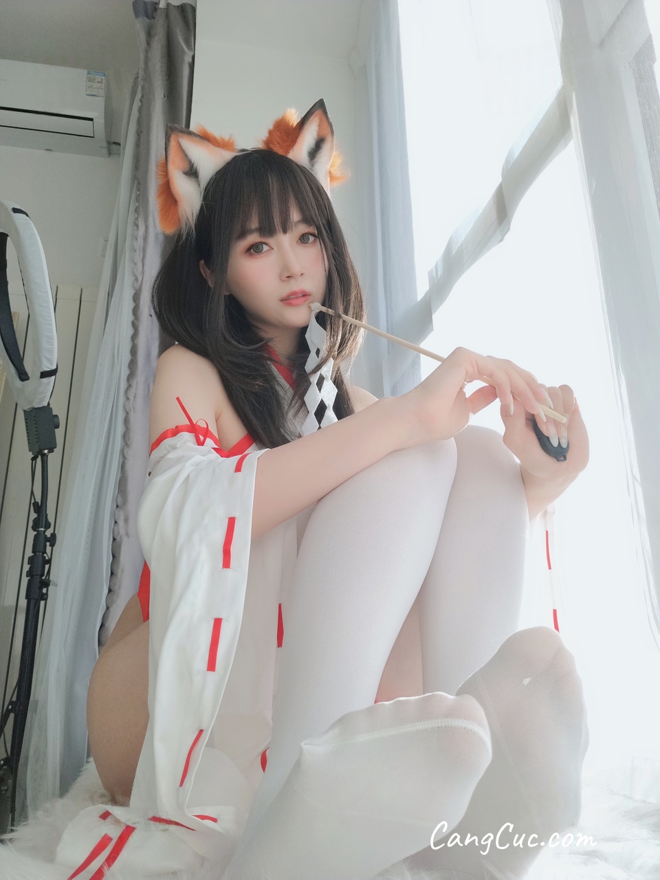Coser@白银81 – 神社小狐狸