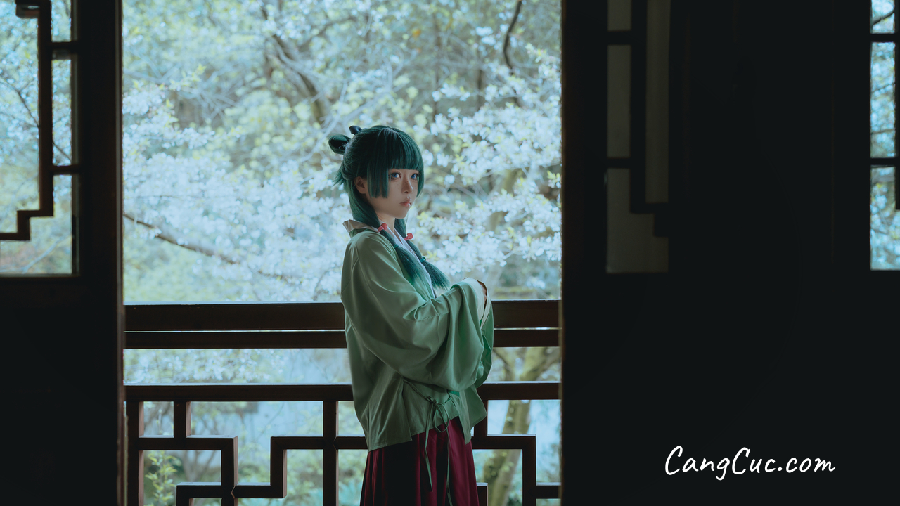 Coser@矢量鱼 – Maomao