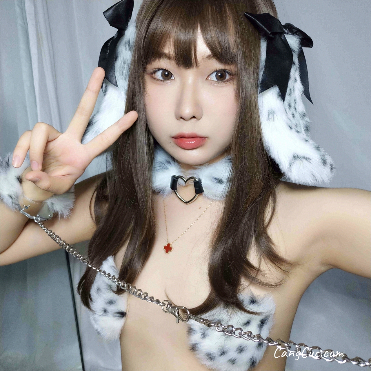 Coser@金桔万岁 – 斑点狗