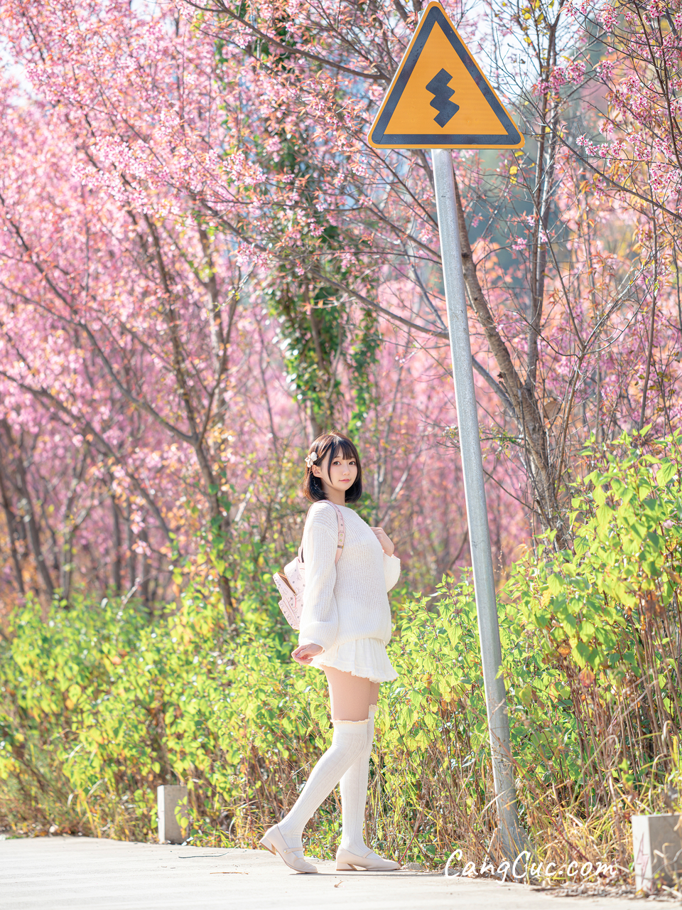 Coser@NAGISA魔物喵 – 桜