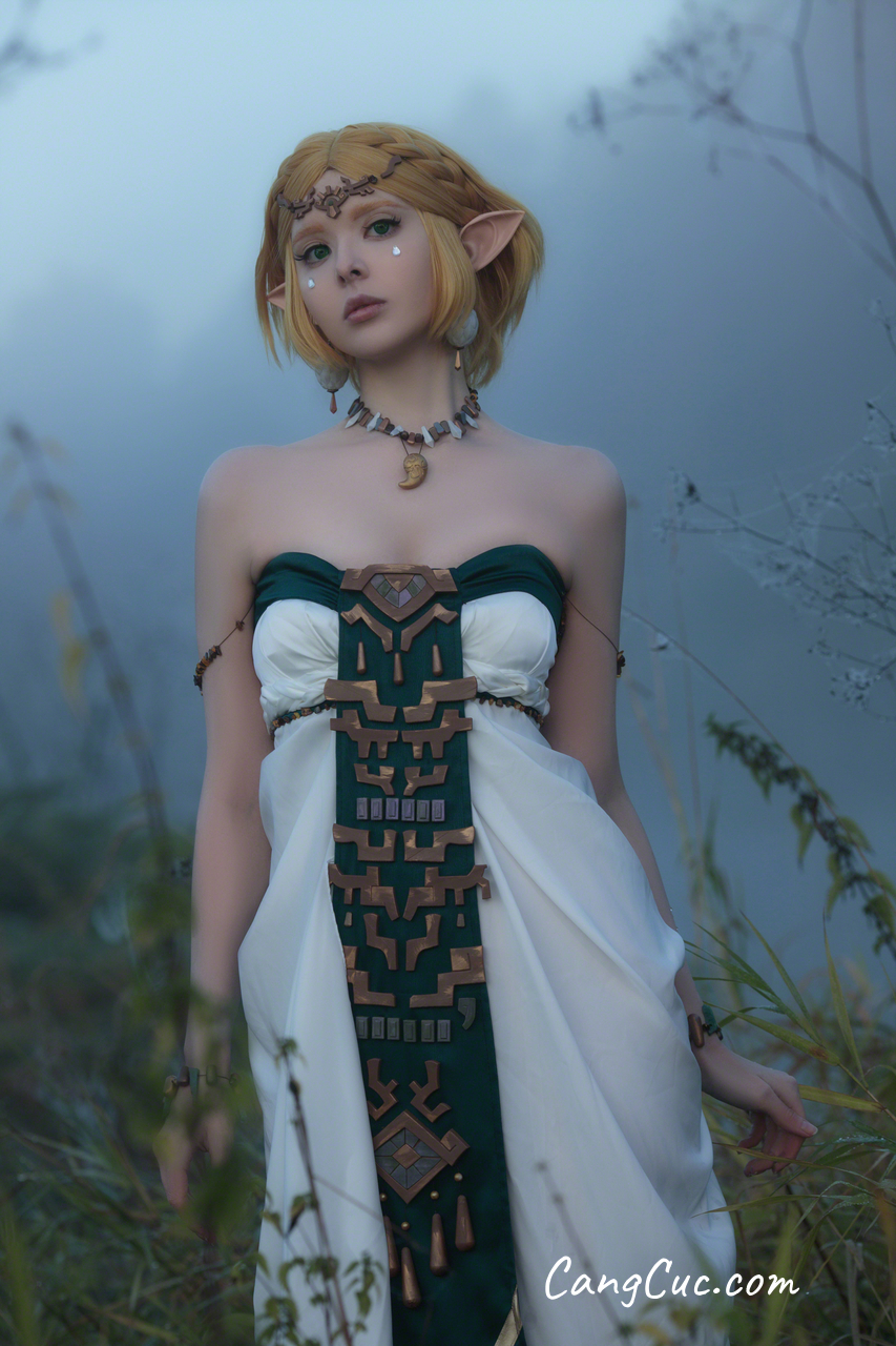 Coser@Vinnegal – Zelda
