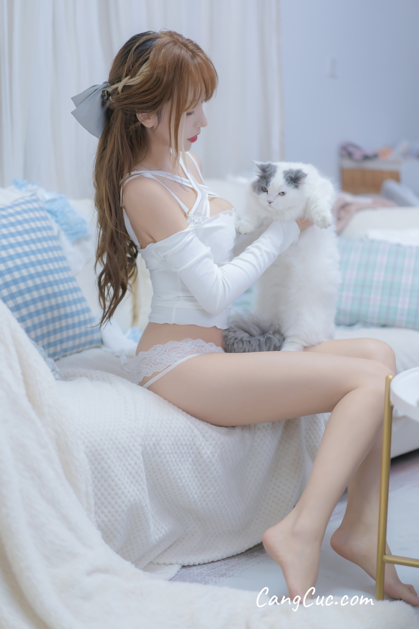 Coser@过期米线线喵: 我和猫