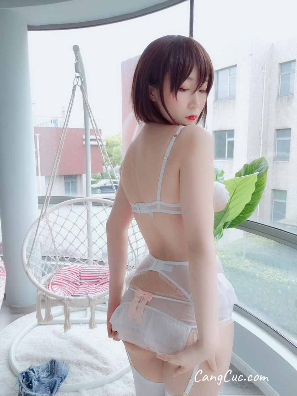 Coser@白银81: 不后悔