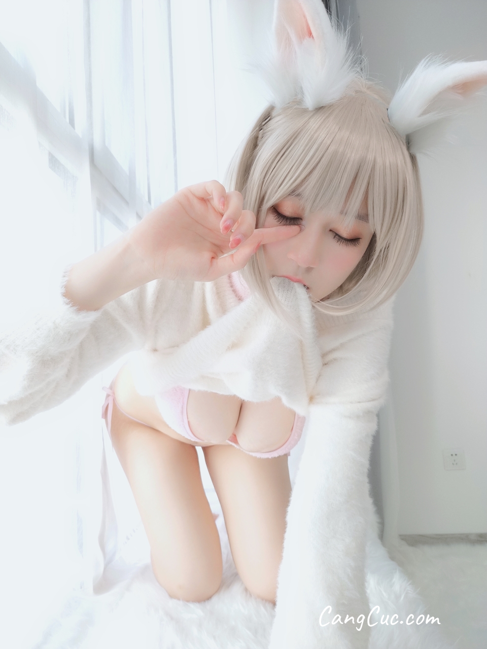 Coser@白银81: 小白兔
