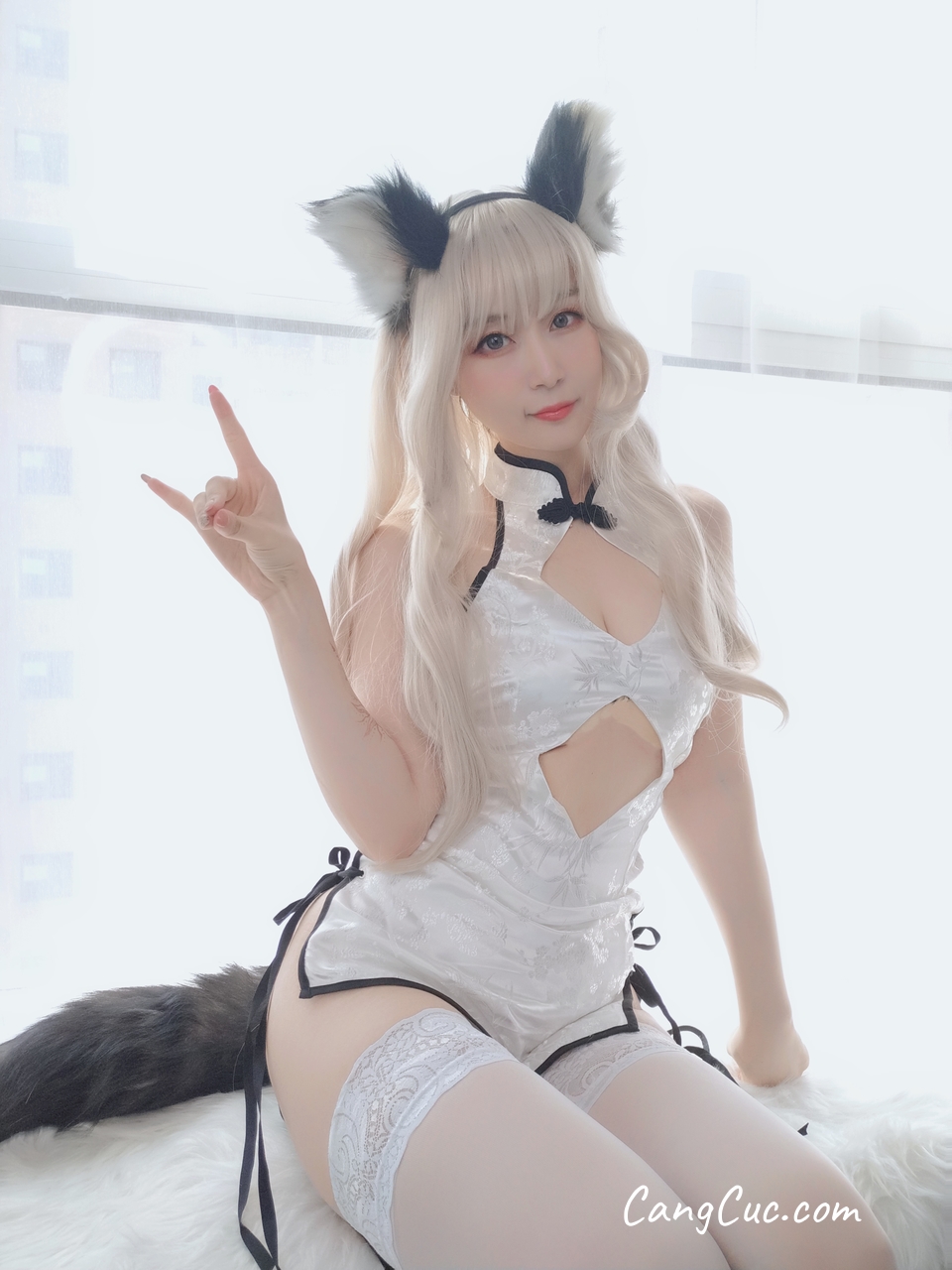 Coser@白银81: 小白狼