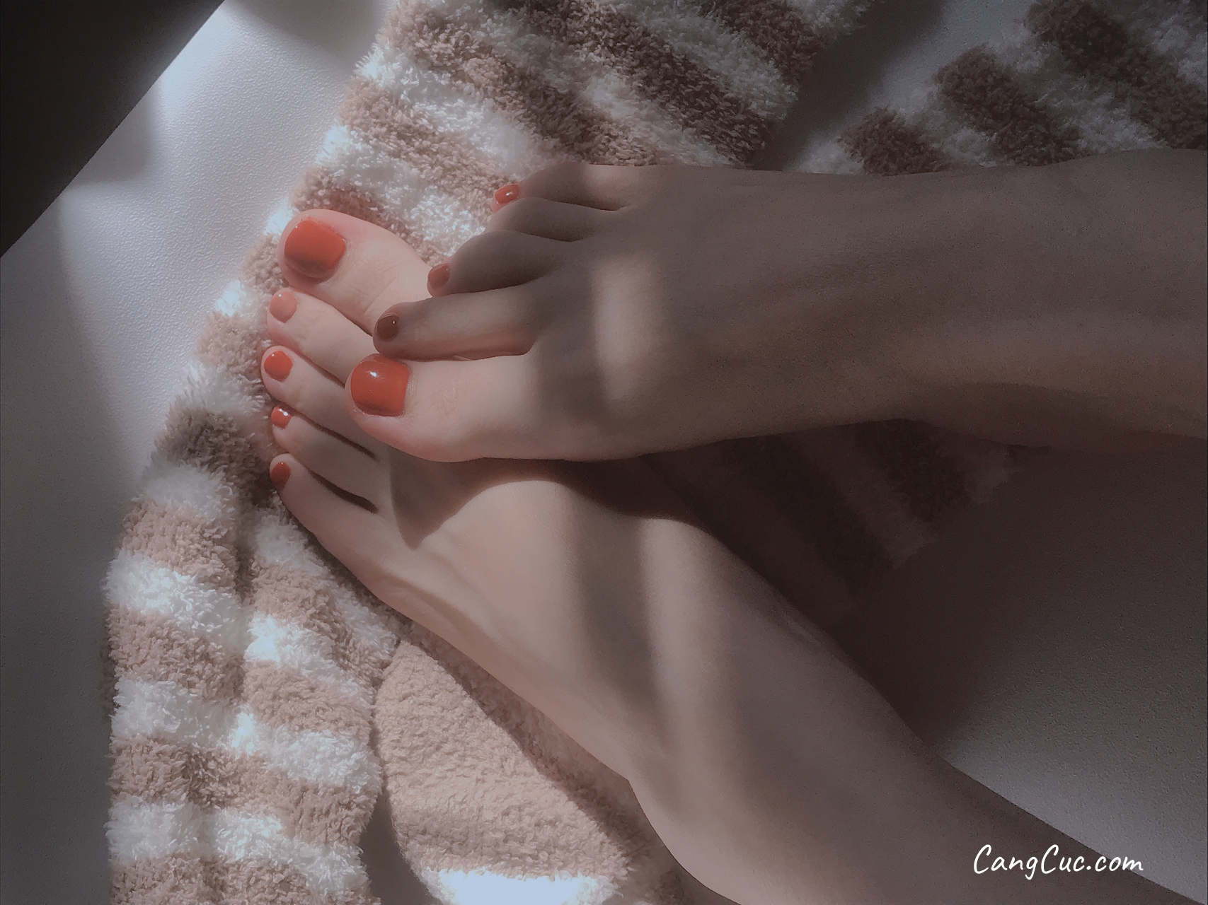 Coser@雪晴Astra (雪晴嘟嘟) Vol.019: 美腿美足美臀