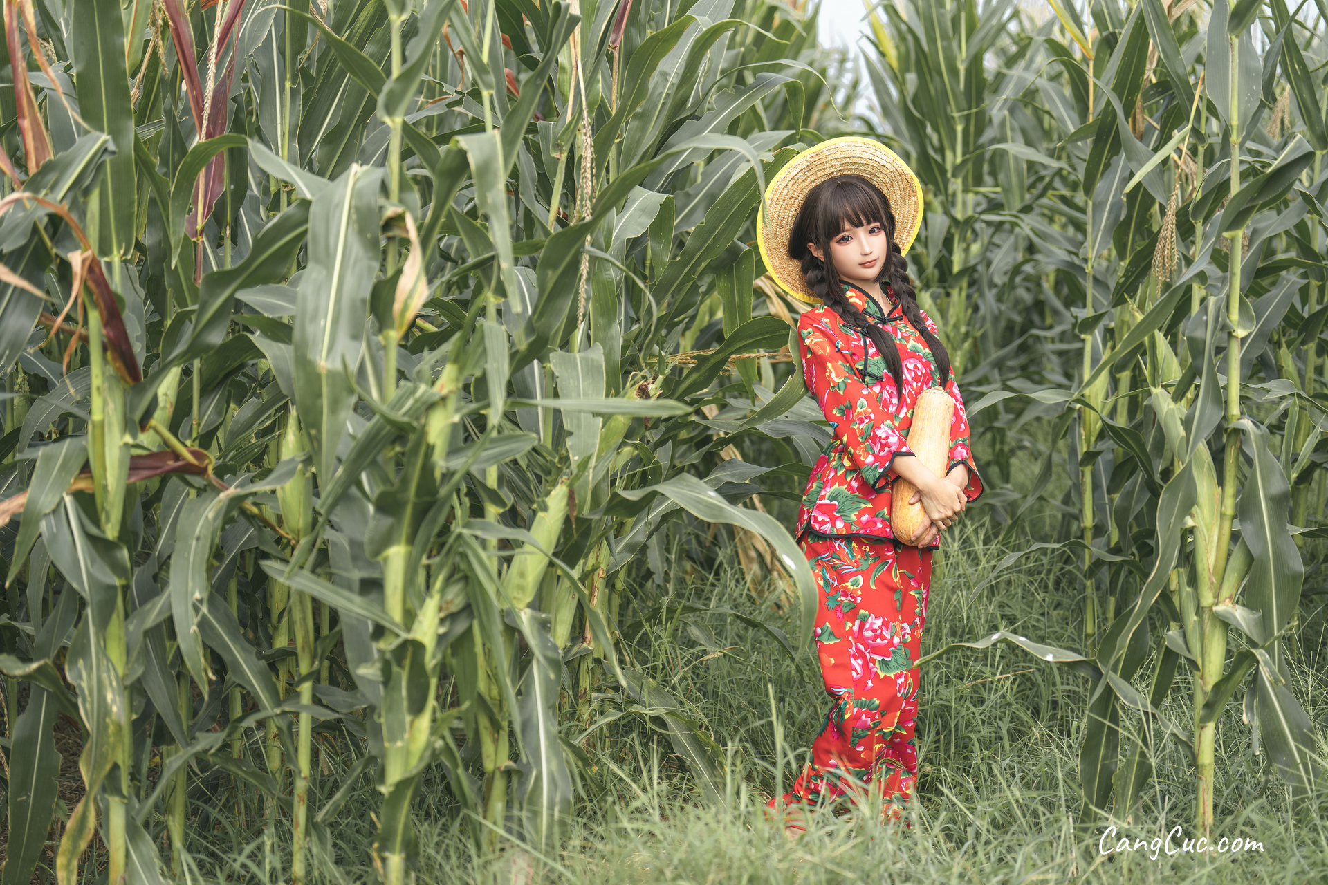 Coser@蠢沫沫 (chunmomo): The Story of Cornfield
