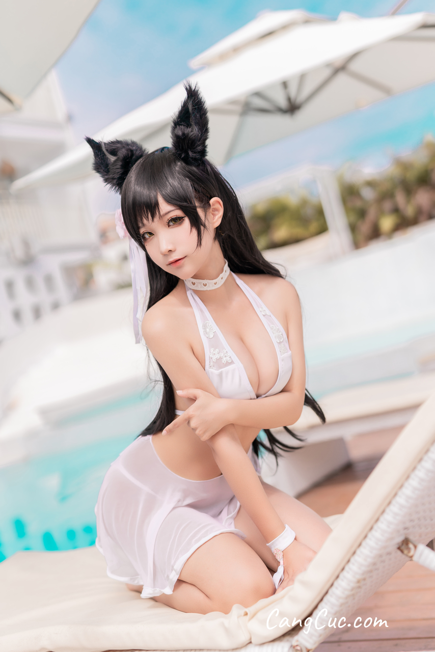Coser@蠢沫沫 (chunmomo) Vol.138: 爱宕 犬 泳装