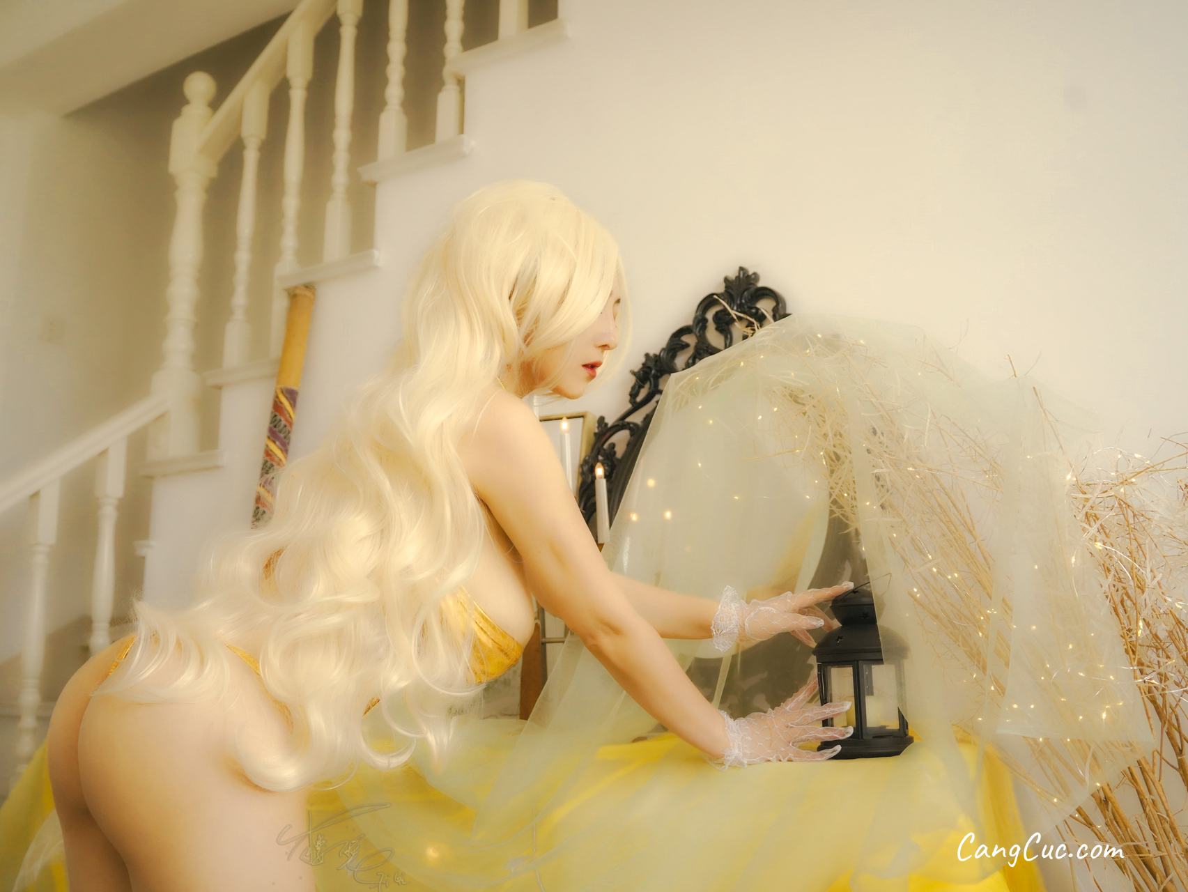 Coser@樱晚gigi: 金盏花