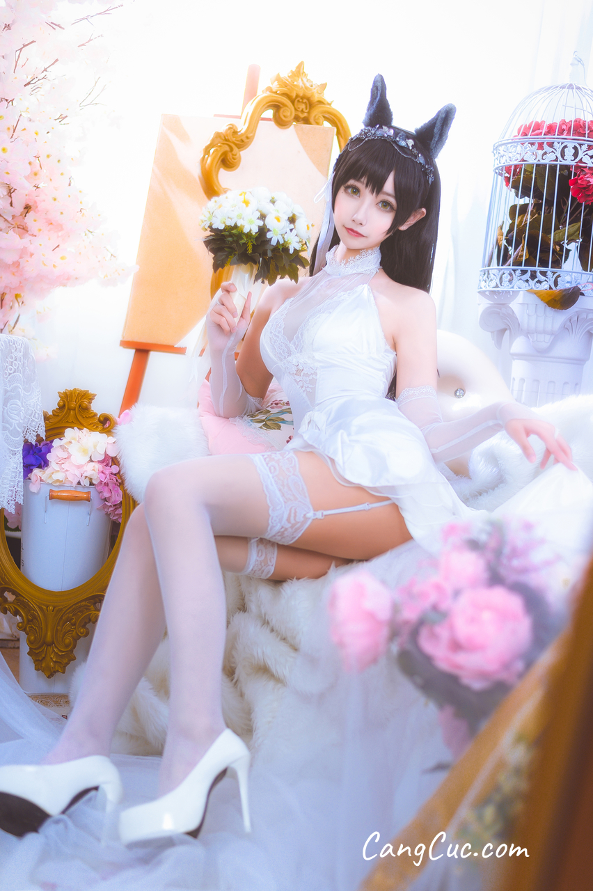 Coser@Momoko葵葵: 爱宕