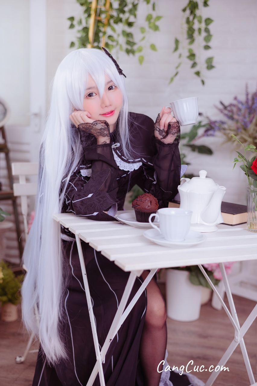 Coser@Sally多啦雪 (Sally Dorasnow): Echidna
