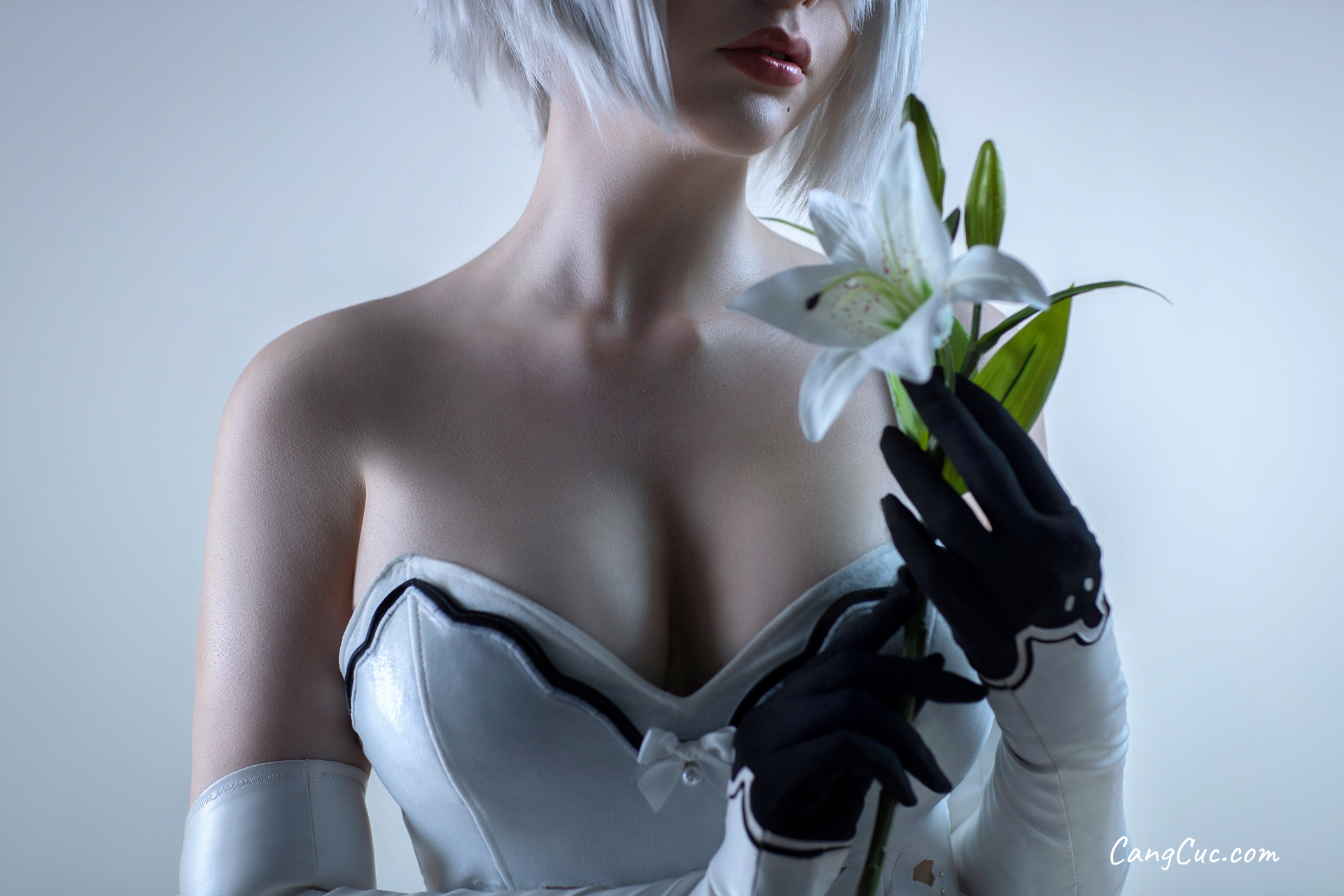 Coser@Sayathefox – 2B The White Body