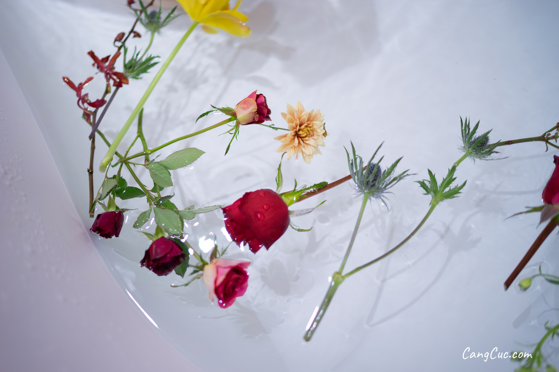 Coser@黑川 Vol.020: 橙色泳衣