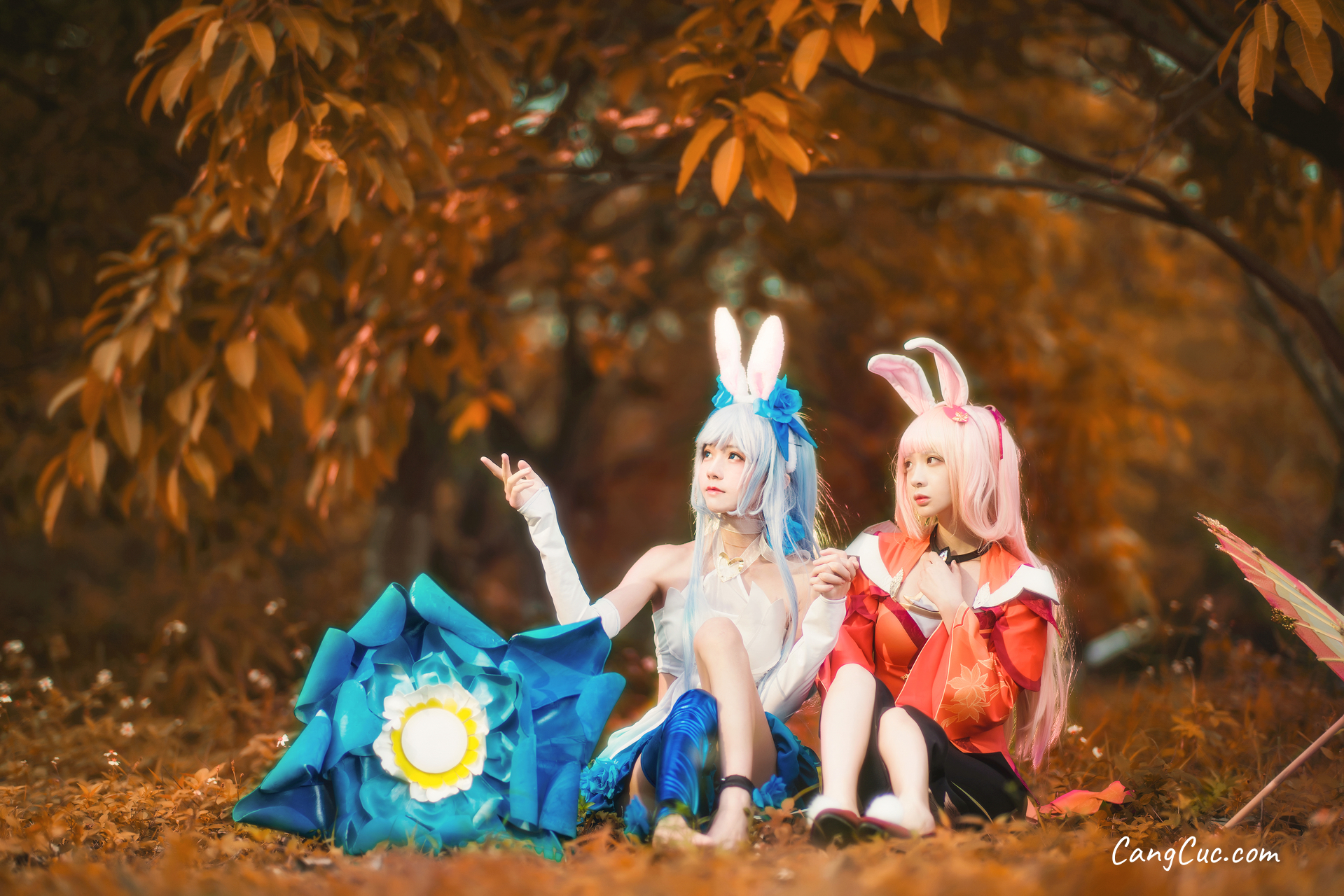 Coser@桜桃喵 Vol.043: 双人公孙离