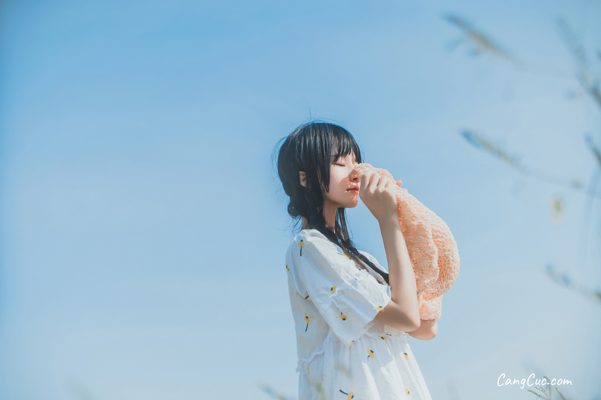 Coser@桜桃喵 Vol.050: 田野