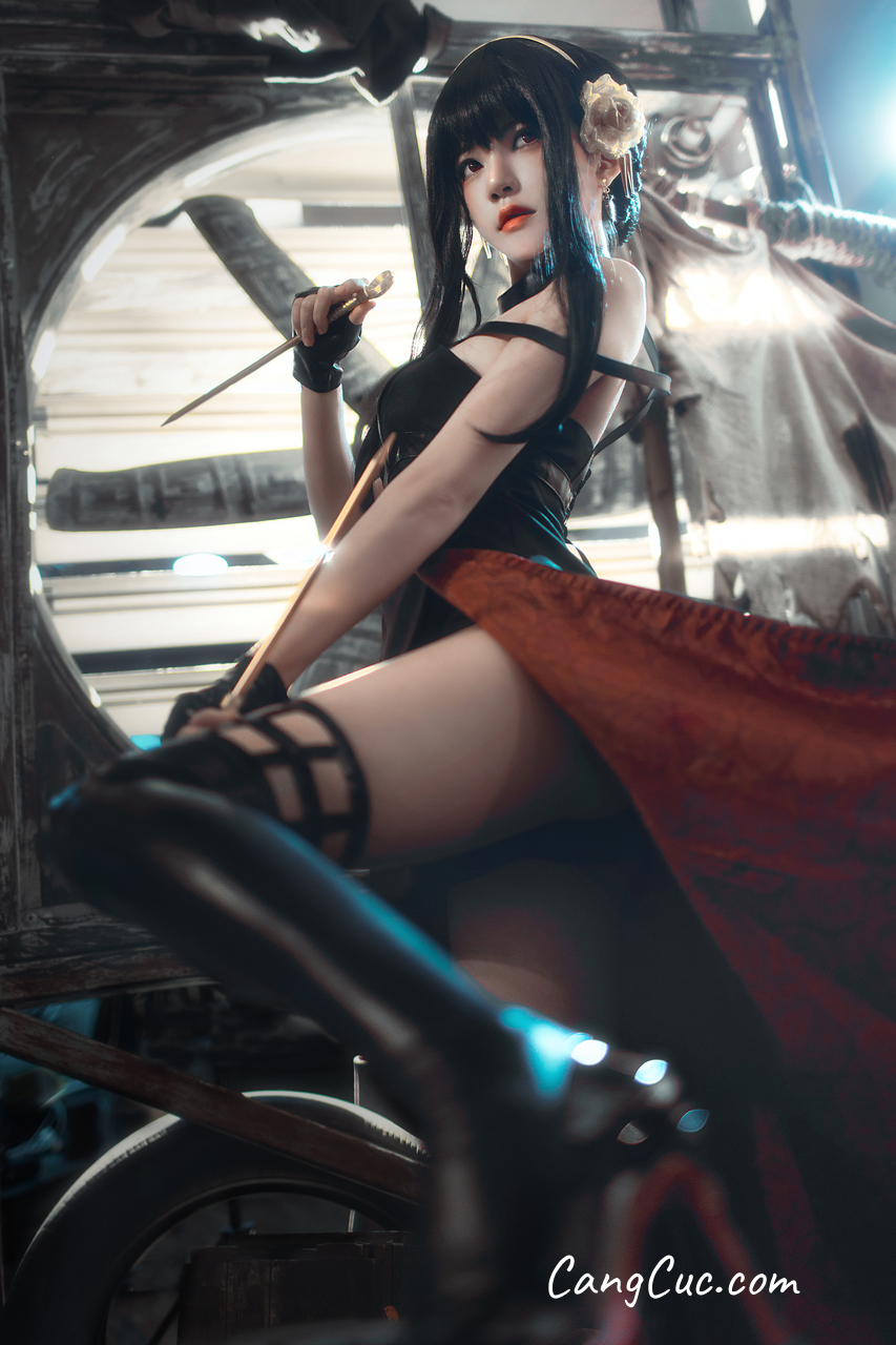 Coser@桜桃喵 Vol.133: 约尔