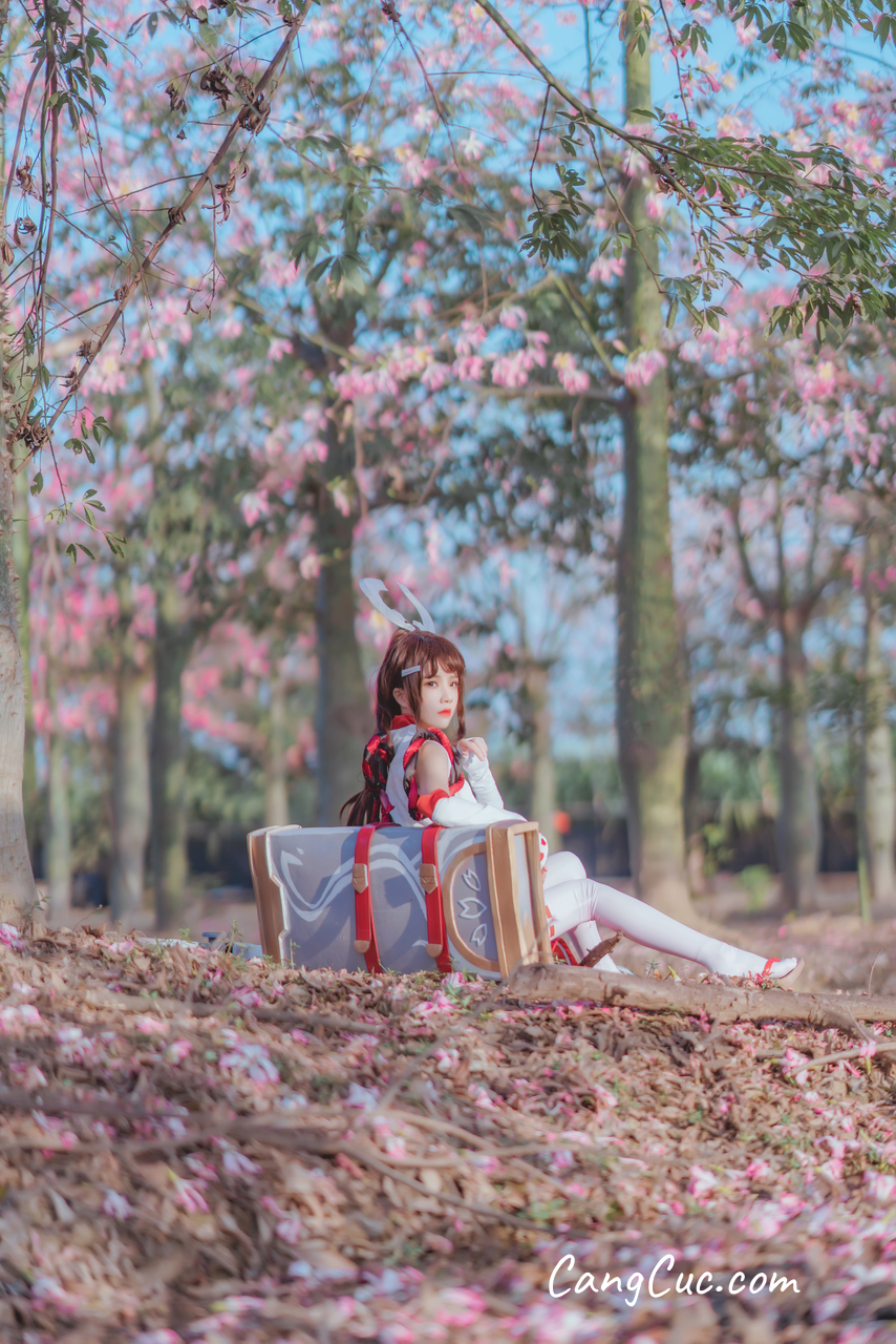 Coser@桜桃喵 Vol.134: 花见巫女
