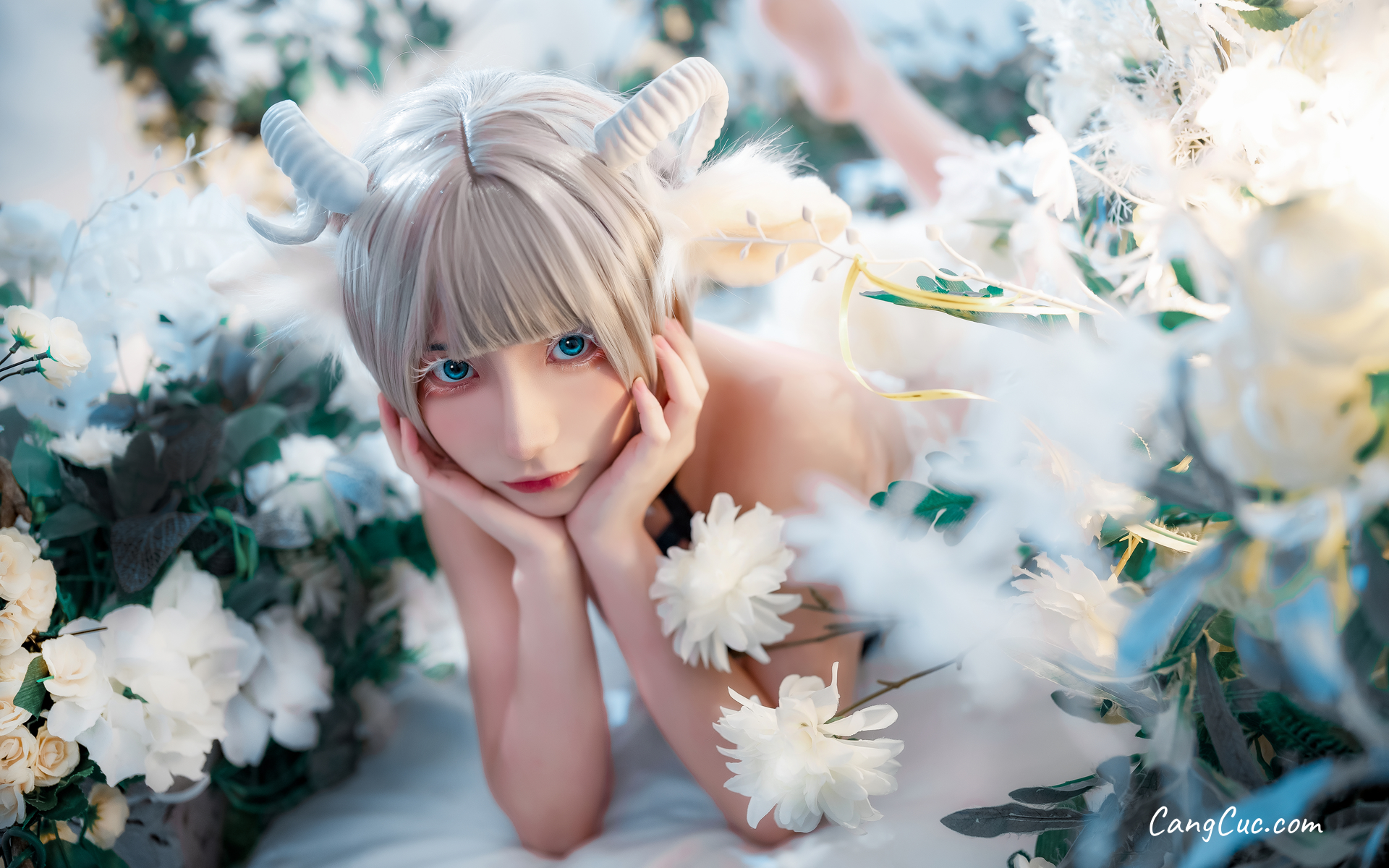 Coser@是三不是世w No.010: 羊羊