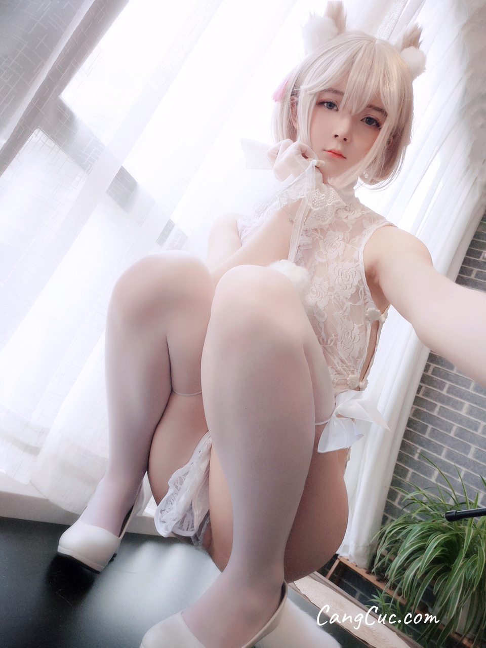 Coser@一小央泽 (yixiaoyangze) 家养小动物