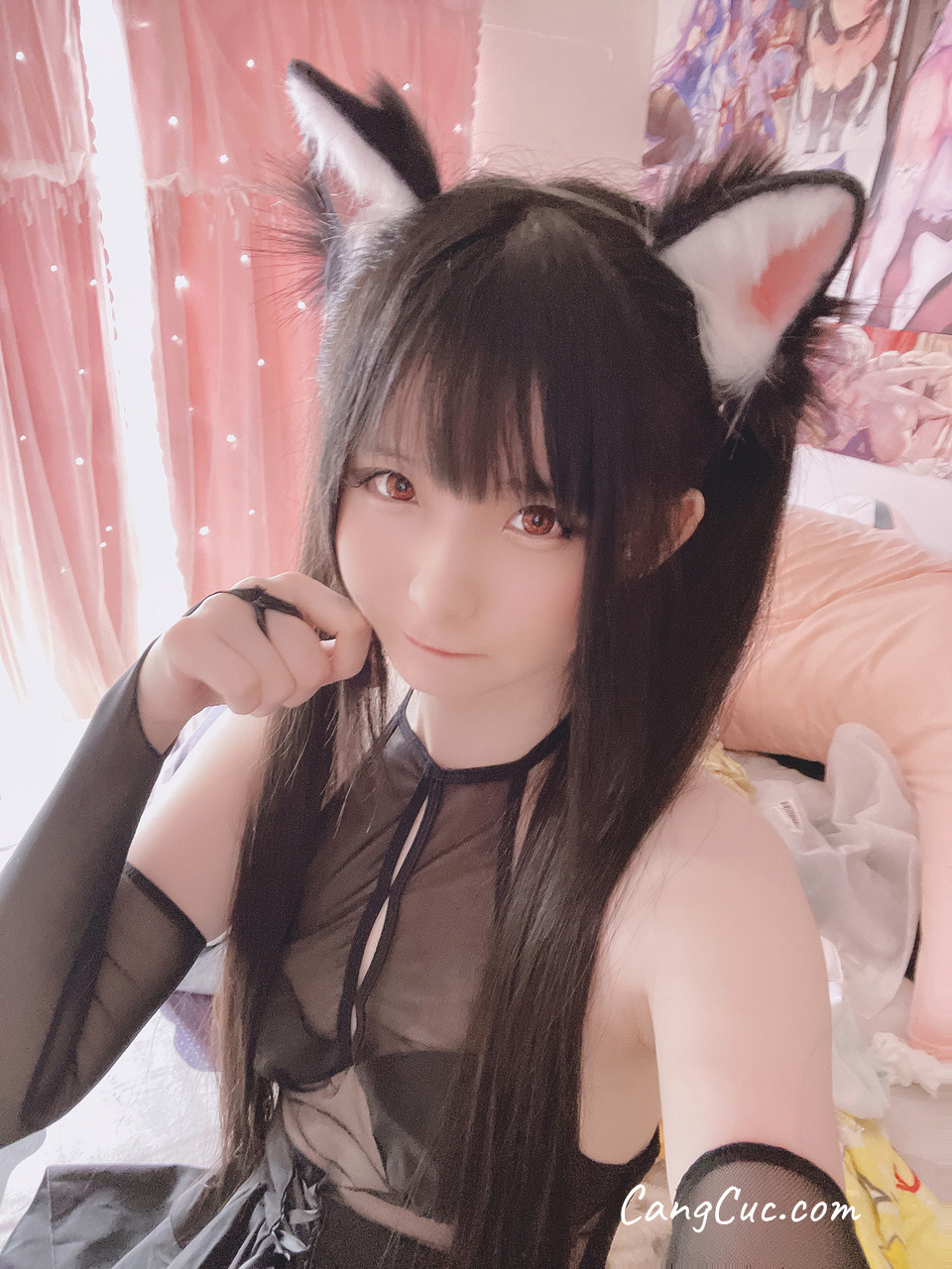 Coser@习呆呆 – 猫耳