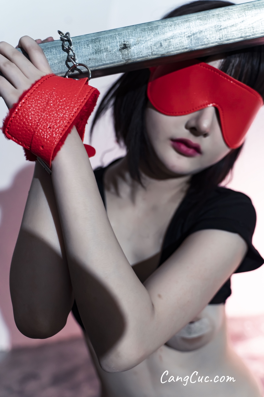 Coser@您的蛋蛋 – 灰机杯配套视图