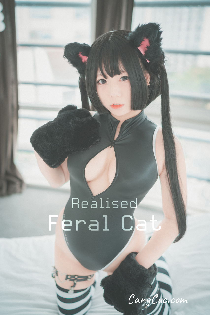 DJAWA Photo – Maruemon (마루에몽): “Realised Feral Cat”