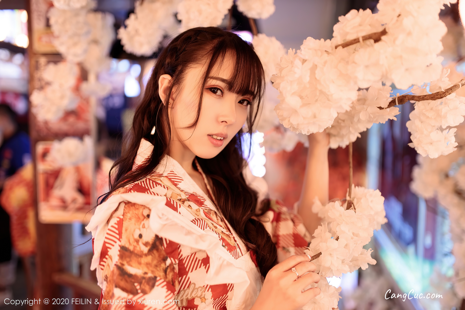 FEILIN Vol.360: 小波多